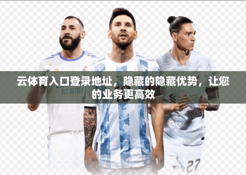 云体育入口登录地址，隐藏的隐藏优势，让您的业务更高效